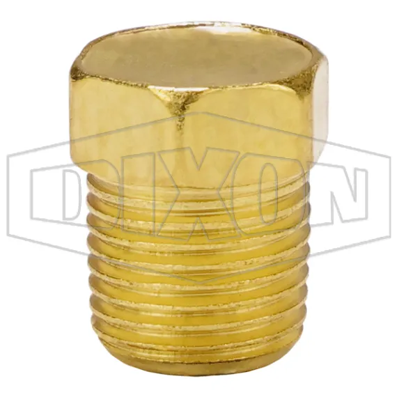 Hex Head Plug