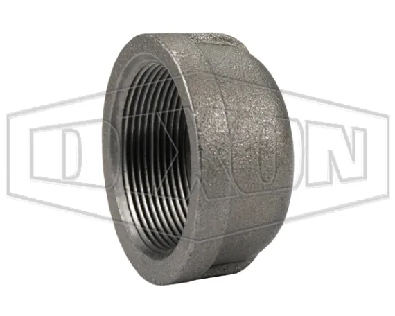 NPT Threaded Cap