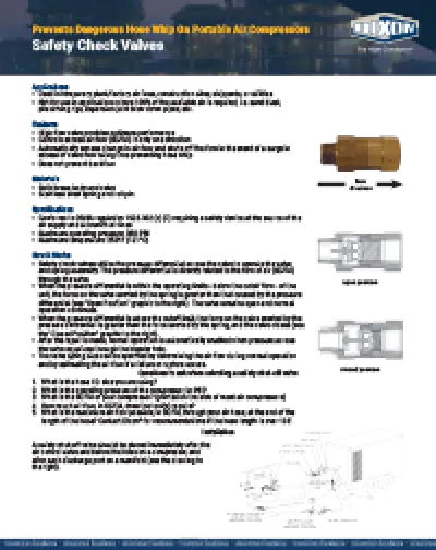 Safety Check Valves