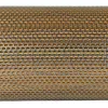 pneuclean filter element